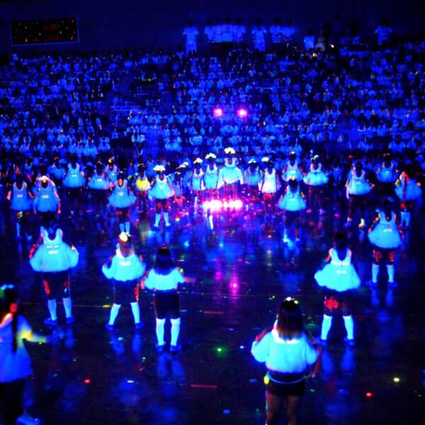 Black Lights rentals