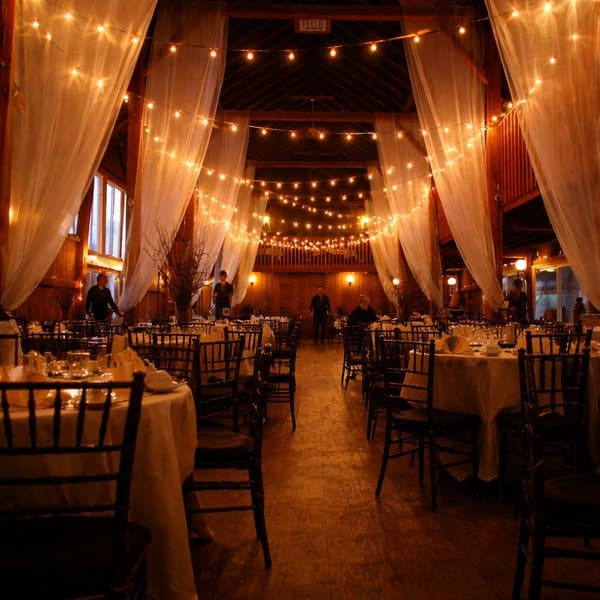 String Lights rentals