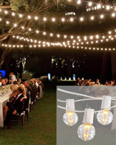 100ft LED Globe Light Package